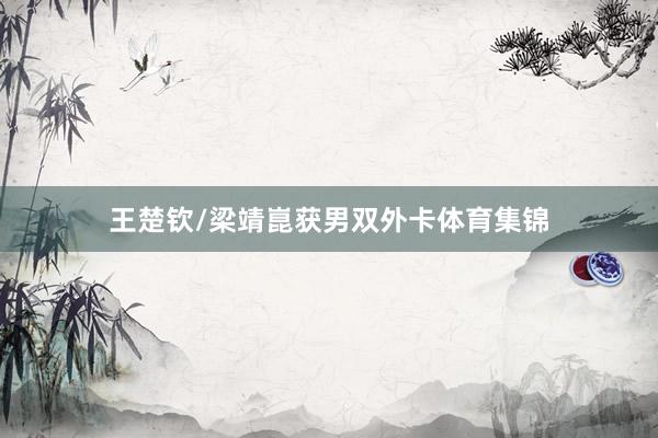 王楚钦/梁靖崑获男双外卡体育集锦