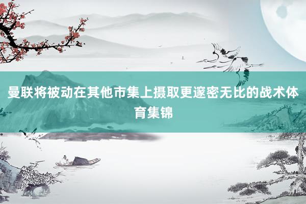 曼联将被动在其他市集上摄取更邃密无比的战术体育集锦