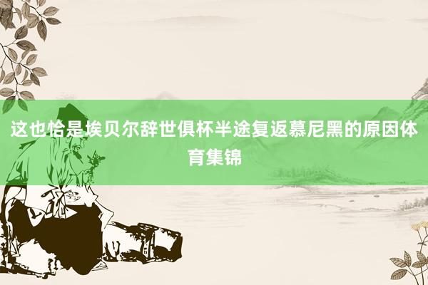 这也恰是埃贝尔辞世俱杯半途复返慕尼黑的原因体育集锦