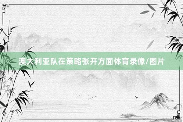 澳大利亚队在策略张开方面体育录像/图片
