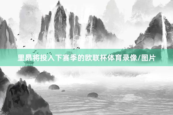 里昂将投入下赛季的欧联杯体育录像/图片