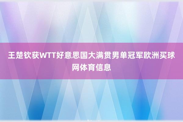 王楚钦获WTT好意思国大满贯男单冠军欧洲买球网体育信息