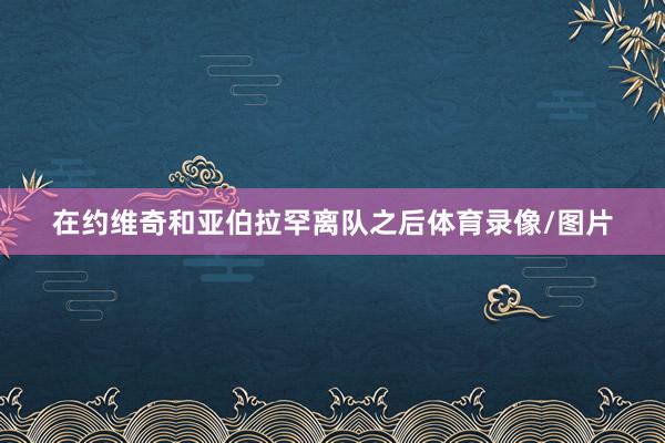 在约维奇和亚伯拉罕离队之后体育录像/图片