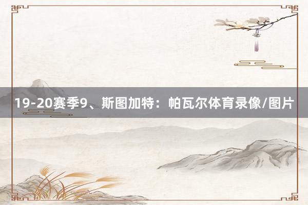19-20赛季9、斯图加特：帕瓦尔体育录像/图片