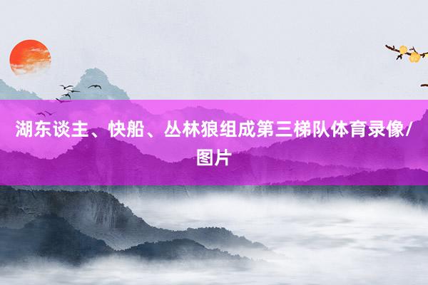 湖东谈主、快船、丛林狼组成第三梯队体育录像/图片