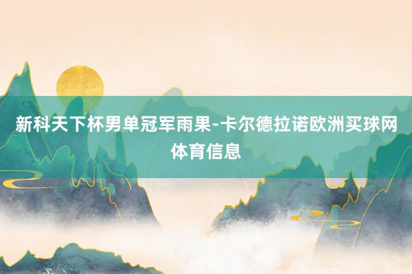 新科天下杯男单冠军雨果-卡尔德拉诺欧洲买球网体育信息