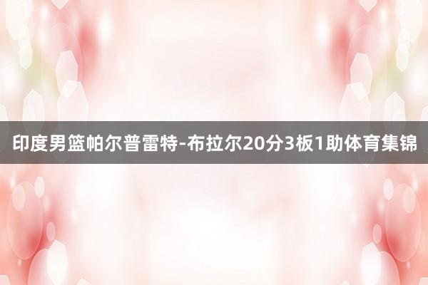 印度男篮帕尔普雷特-布拉尔20分3板1助体育集锦