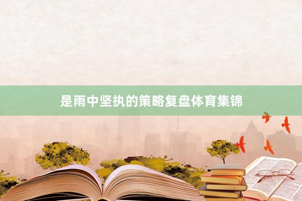 是雨中坚执的策略复盘体育集锦