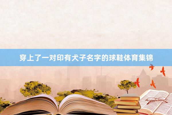 穿上了一对印有犬子名字的球鞋体育集锦
