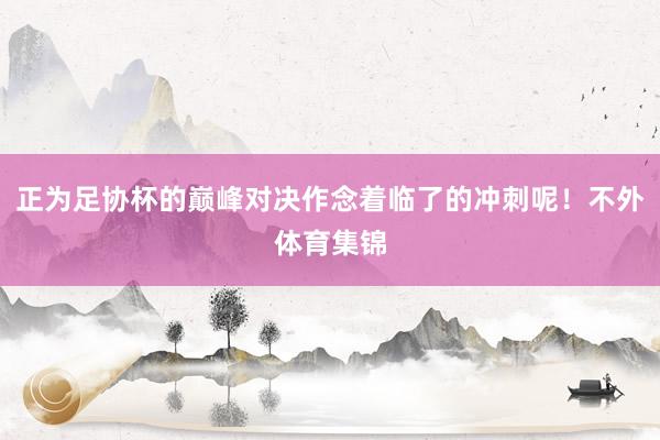 正为足协杯的巅峰对决作念着临了的冲刺呢！不外体育集锦
