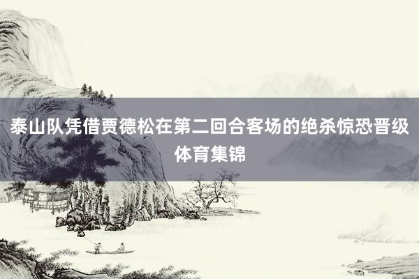 泰山队凭借贾德松在第二回合客场的绝杀惊恐晋级体育集锦
