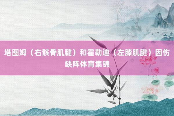塔图姆（右髌骨肌腱）和霍勒迪（左膝肌腱）因伤缺阵体育集锦
