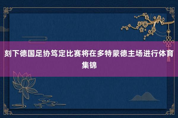 刻下德国足协笃定比赛将在多特蒙德主场进行体育集锦