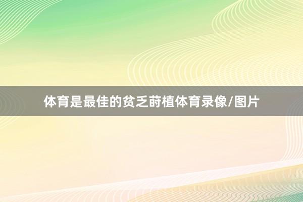 体育是最佳的贫乏莳植体育录像/图片