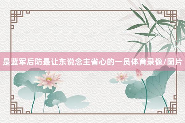 是蓝军后防最让东说念主省心的一员体育录像/图片