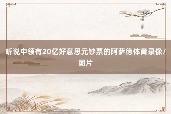 听说中领有20亿好意思元钞票的阿萨德体育录像/图片