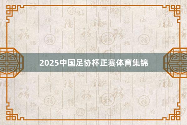 2025中国足协杯正赛体育集锦