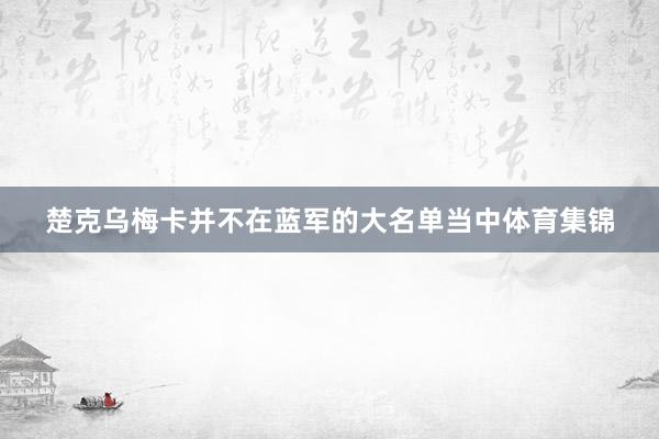 楚克乌梅卡并不在蓝军的大名单当中体育集锦
