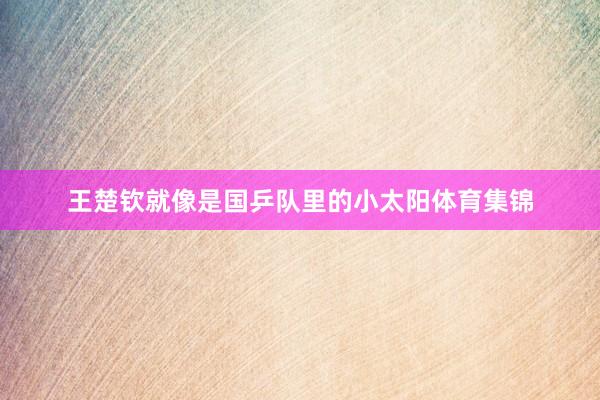 王楚钦就像是国乒队里的小太阳体育集锦