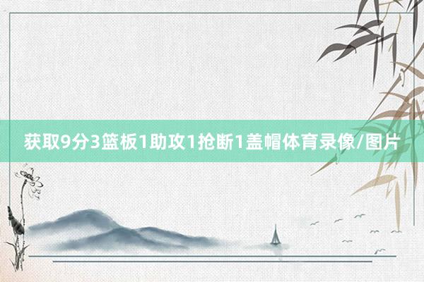 获取9分3篮板1助攻1抢断1盖帽体育录像/图片