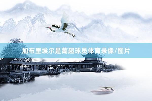 加布里埃尔是葡超球员体育录像/图片